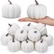 12 Pack 4 Inch Fall Harvest White Artificial Pumpkins - White